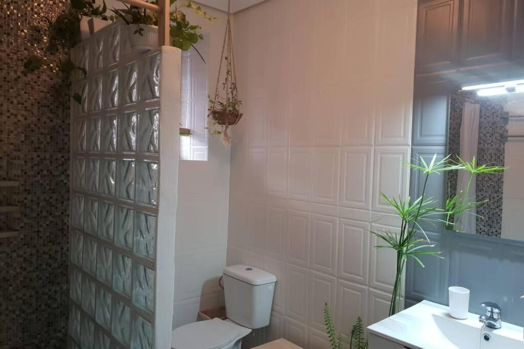 Bonito Y Coqueto Apartamento Kordoba Zewnętrze zdjęcie