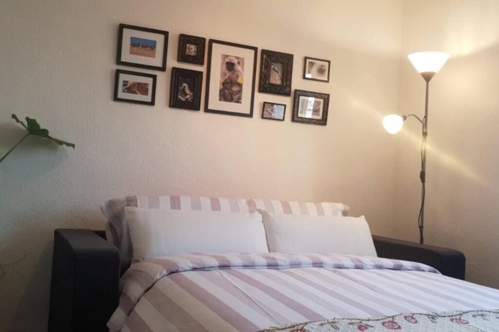 Bonito Y Coqueto Apartamento Kordoba Zewnętrze zdjęcie