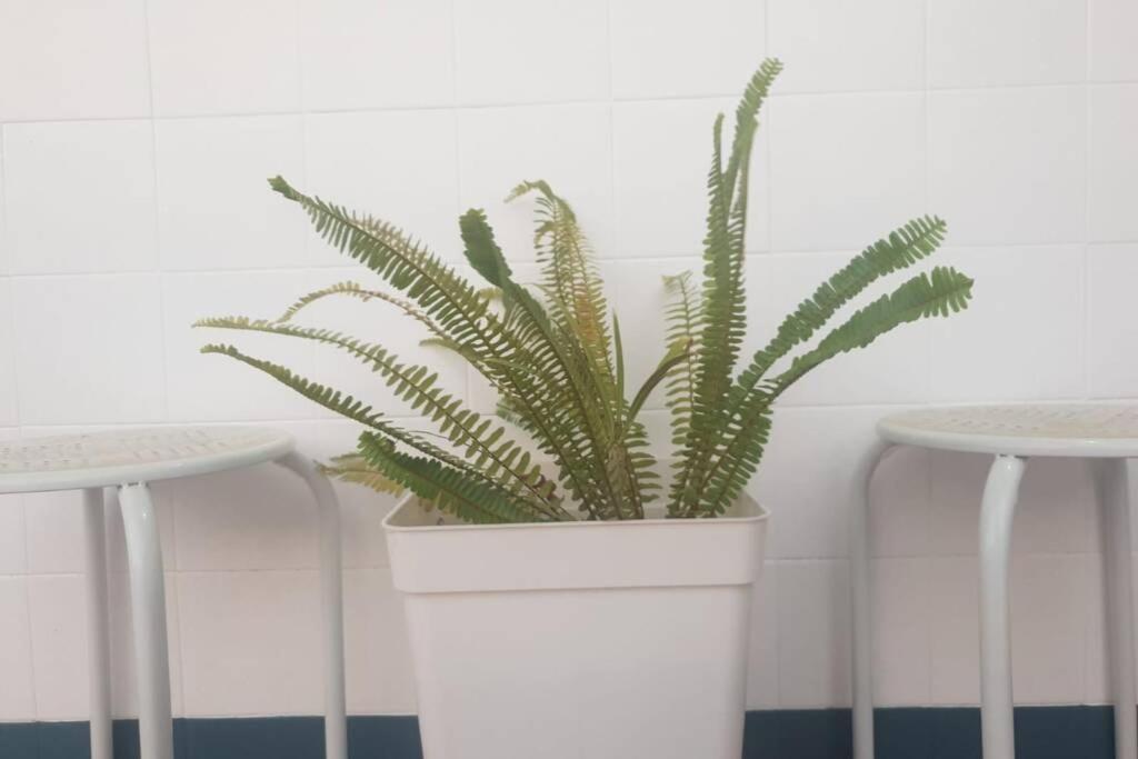 Bonito Y Coqueto Apartamento Kordoba Zewnętrze zdjęcie