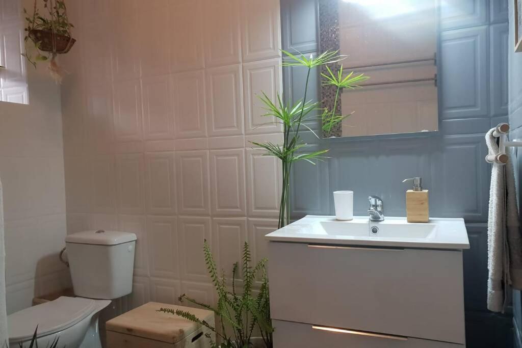 Bonito Y Coqueto Apartamento Kordoba Zewnętrze zdjęcie